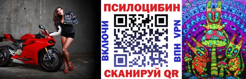 Псилоцибиновые грибы Psilocybine cubensis  Никольск 
